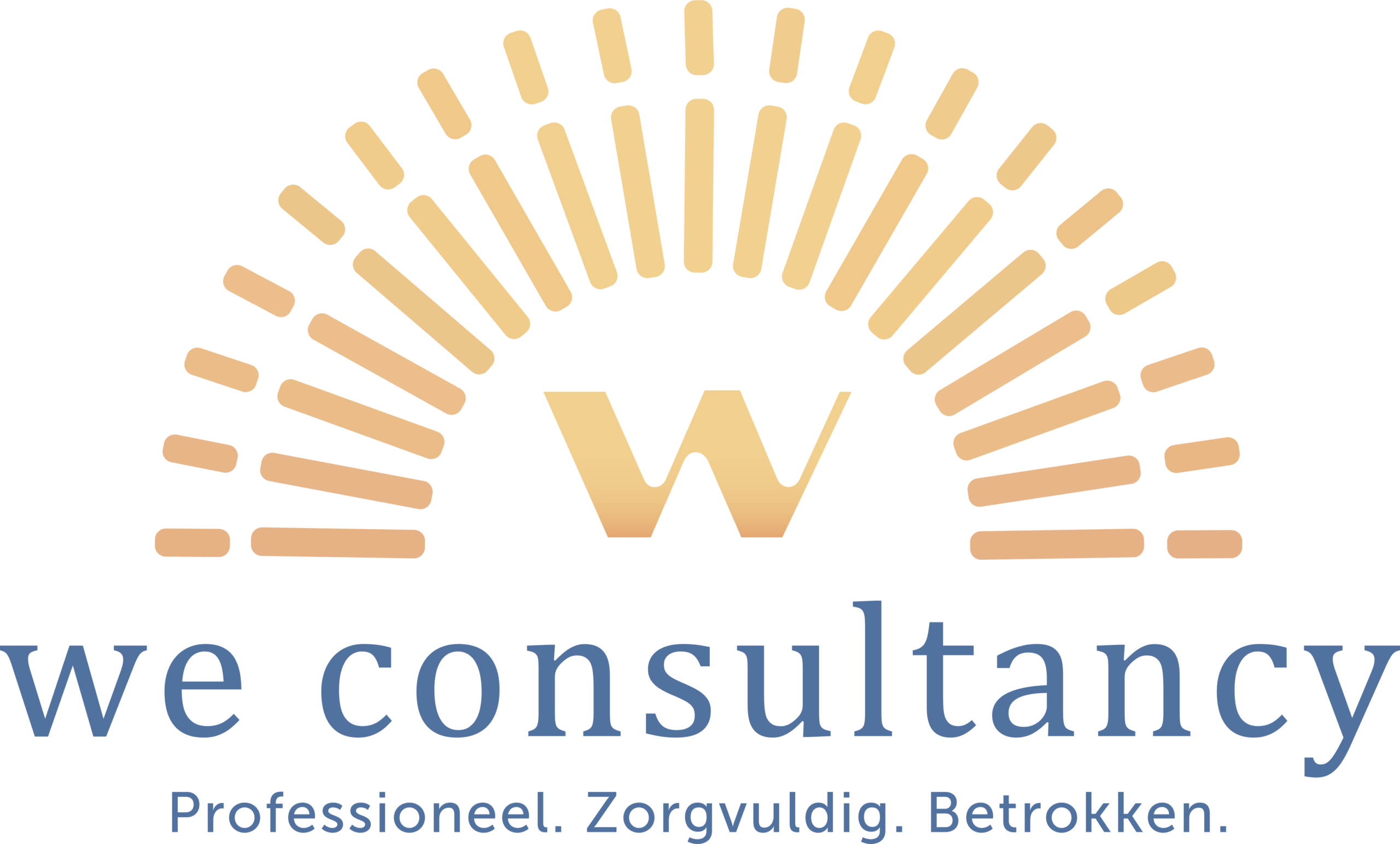 WE consultancy logo